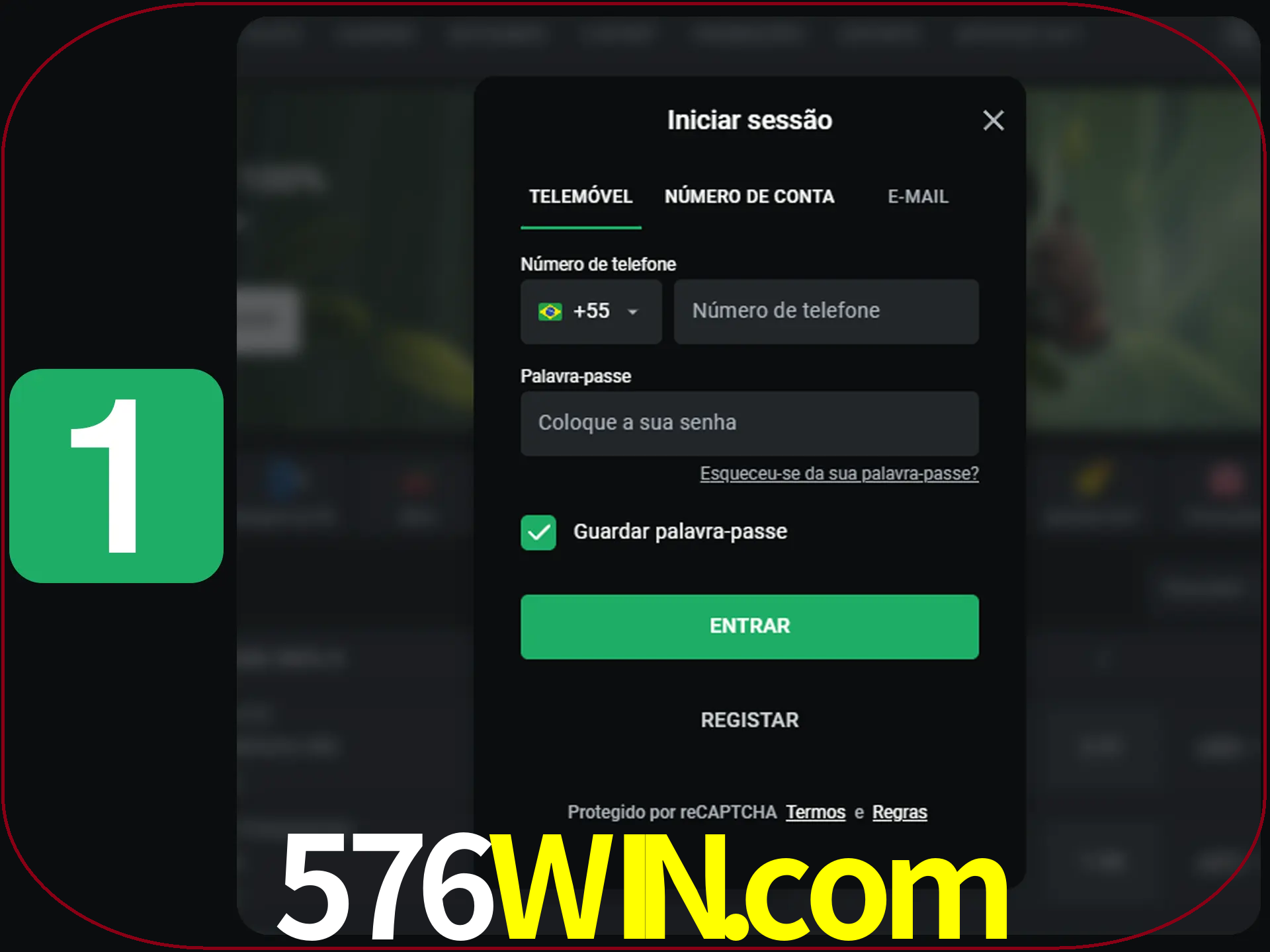 Clique no botão Entrar.